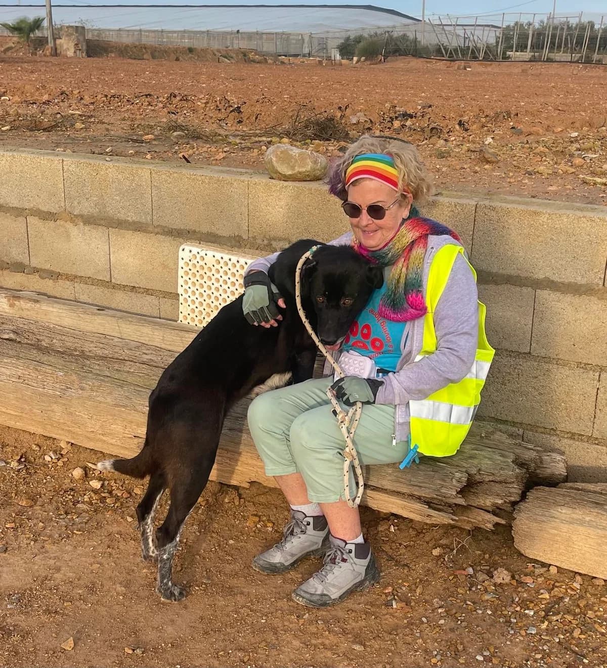 SPARKLE, female Mixed Breed for adoption at Murcia), Lips Rescue