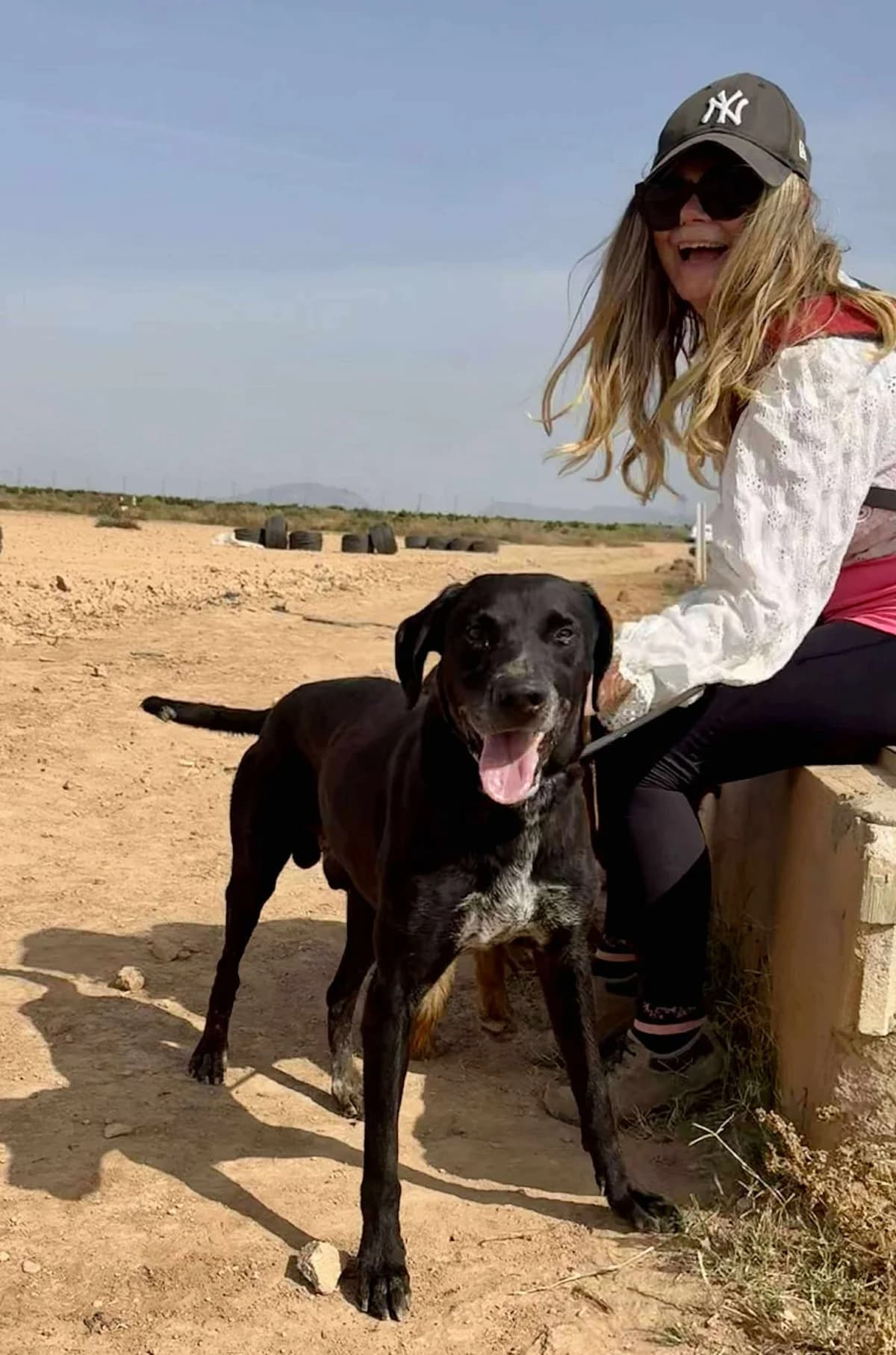 SUGAR, male Mixed Breed for adoption at Murcia), Lips Rescue — photo 3 of 22