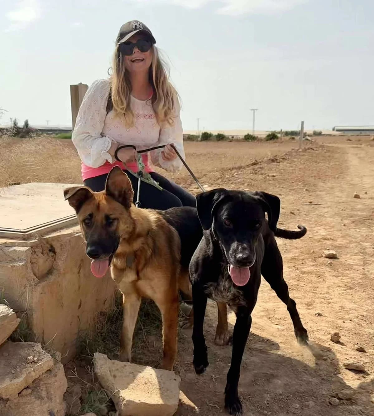 SUGAR, male Mixed Breed for adoption at Murcia), Lips Rescue — photo 4 of 22