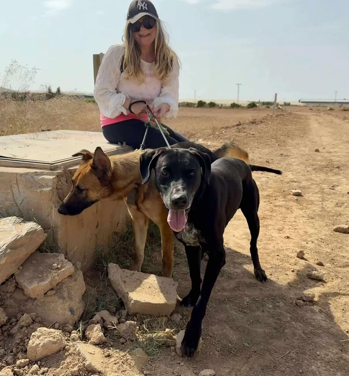 SUGAR, male Mixed Breed for adoption at Murcia), Lips Rescue — photo 6 of 22