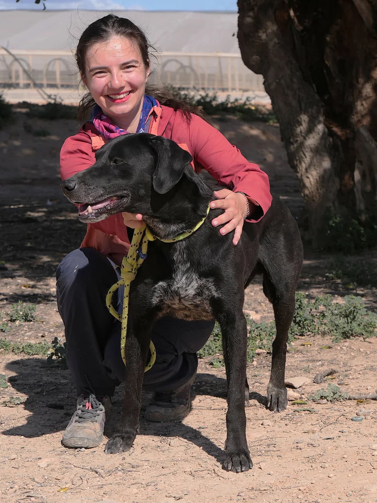 SUGAR, male Mixed Breed for adoption at Murcia), Lips Rescue — photo 7 of 22
