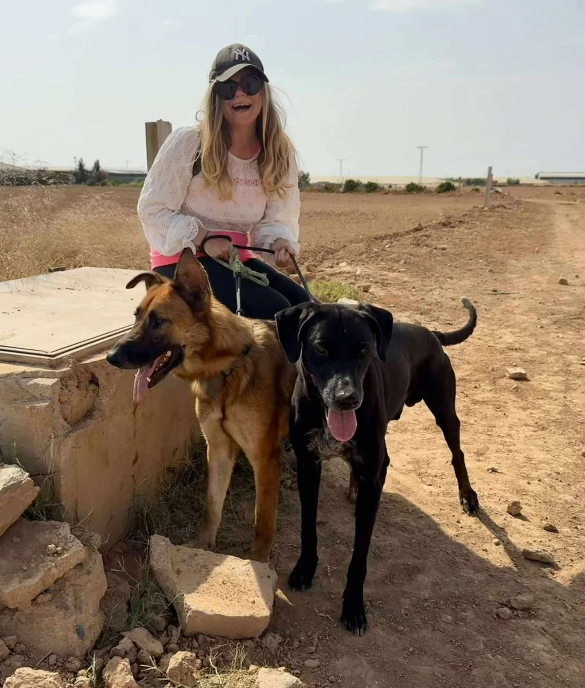 SUGAR, male Mixed Breed for adoption at Murcia), Lips Rescue — photo 8 of 22