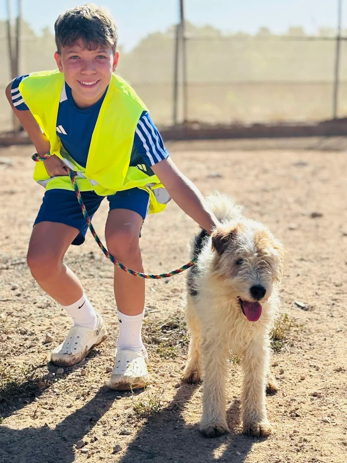 TINTIN, male Mixed Breed for adoption at Murcia), Lips Rescue
