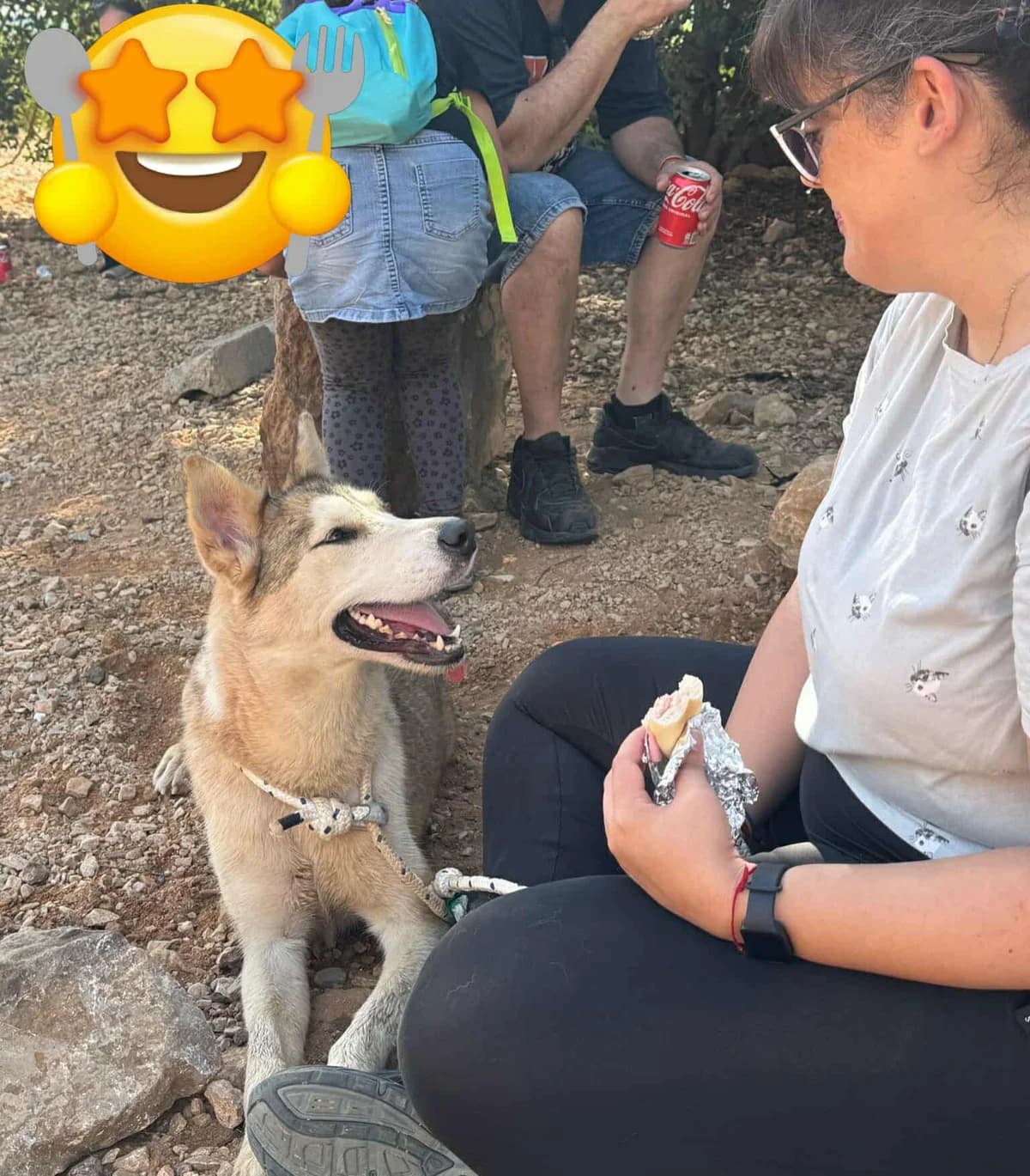 YAKIRA, female Mixed Breed for adoption at Murcia), Lips Rescue photo 5