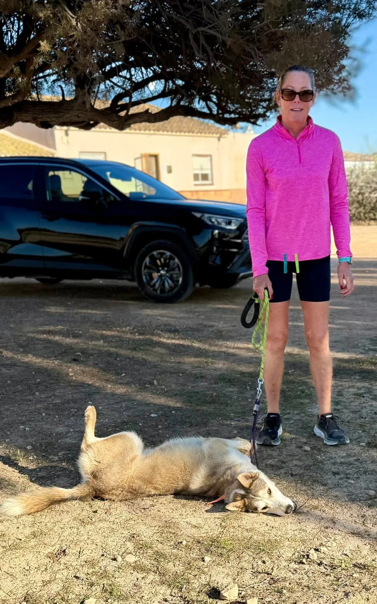 YAKIRA, female Mixed Breed for adoption at Murcia), Lips Rescue photo 7