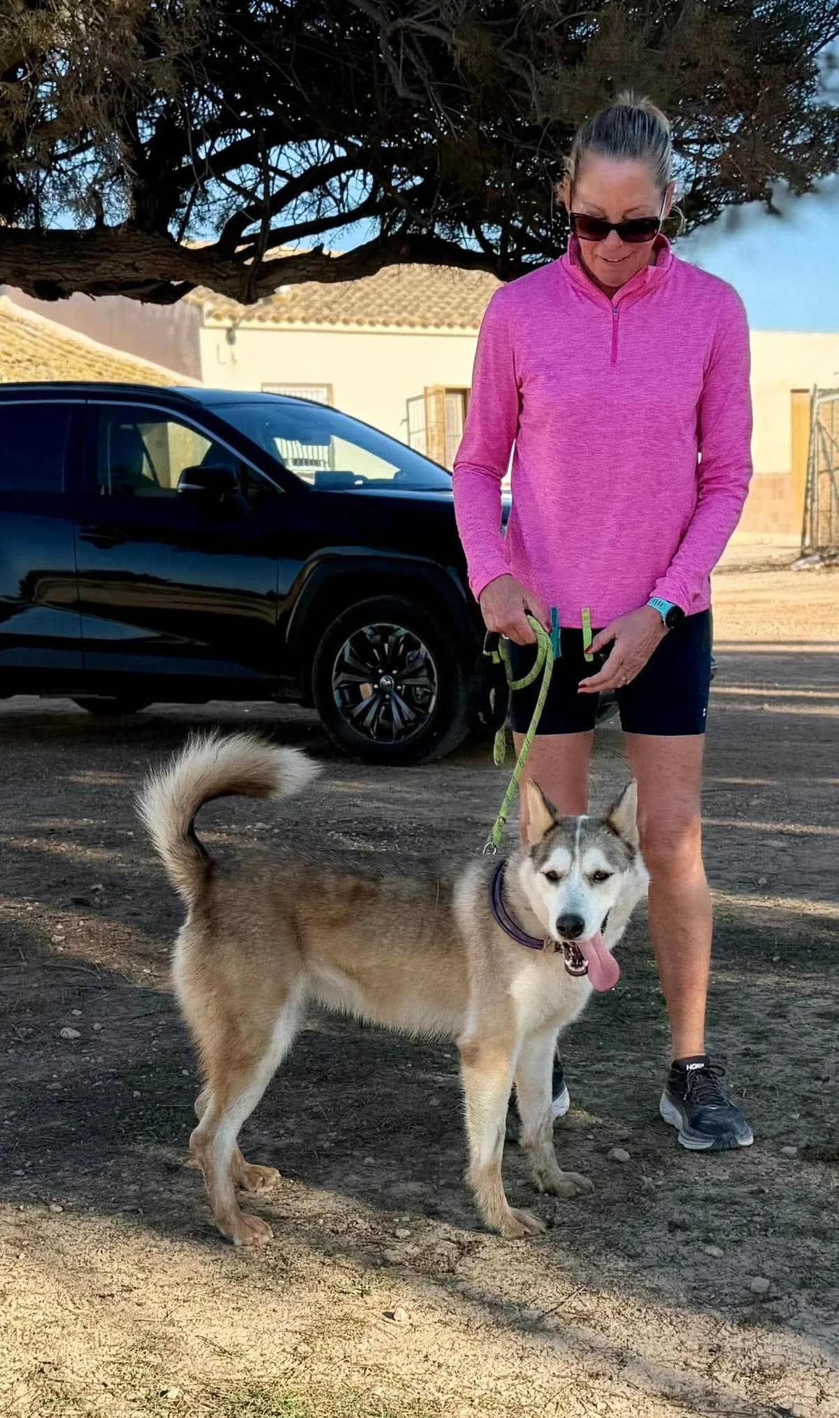 YAKIRA, female Mixed Breed for adoption at Murcia), Lips Rescue photo 8