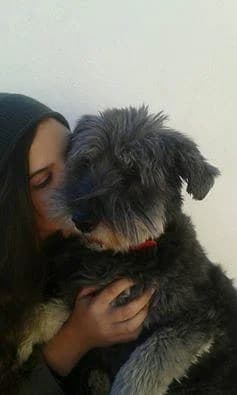 Brulla, female senior Mixed Breed for adoption at Protectora de Ibi, Ibi (Alicante)