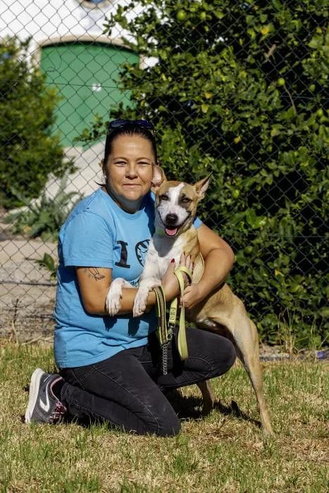 Harley quinn, female 3yo Mixed Breed for adoption at Protectora Oriolana