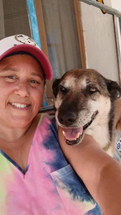 UVA, female mixed breed for adoption at Protectora Ayamonte