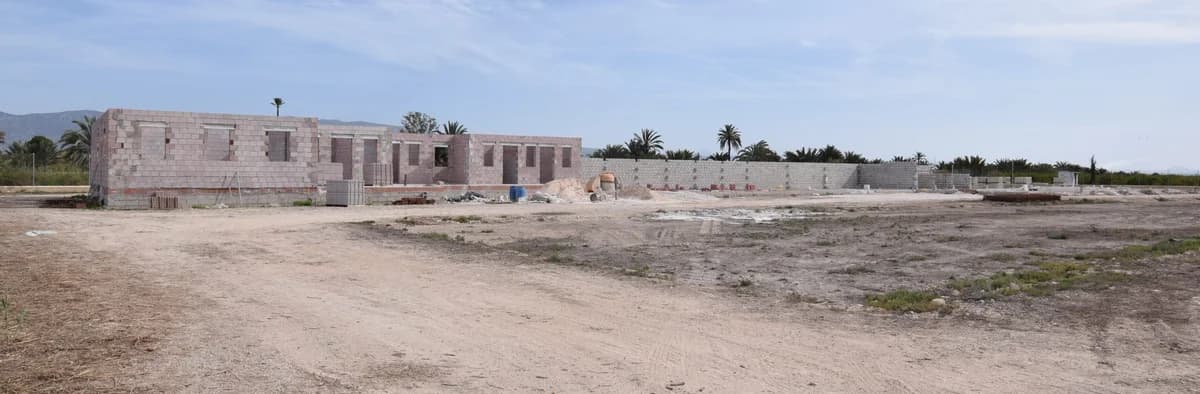 Progress on the shell, female 4yo Mixed Breed for adoption at SAT Animal Rescue Torrevieja