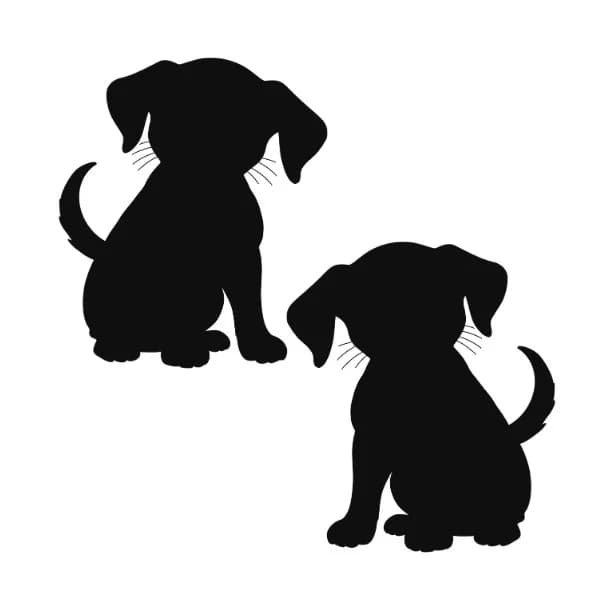Hokkus ja Pokkus, male young mixed breed for adoption at HESY, Helsinki
