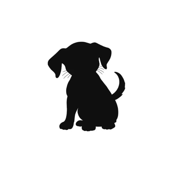 Valencia, mustavalkoinen female mixed breed for adoption at HESY, Helsinki