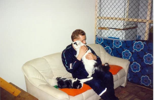 Kissakoti Kattilan historia: Merja Rusi ja Pasi Ranki – Vapaaehtoisten pioneereja,  Mixed Breed for adoption at Kissakoti Kattila — photo 3 of 4