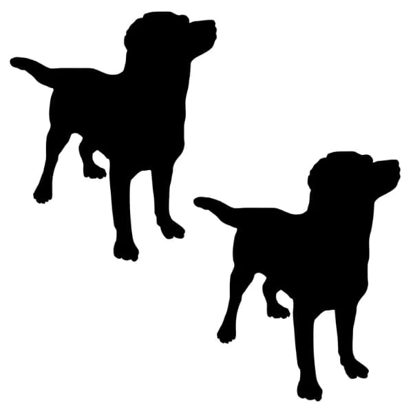 Ginny ja Helga, female mixed breed for adoption at HESY, Helsinki
