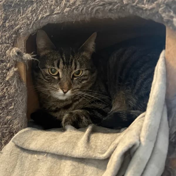 Ilmari ja Hilppa photo 2