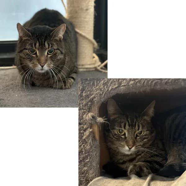 Ilmari ja Hilppa photo 3