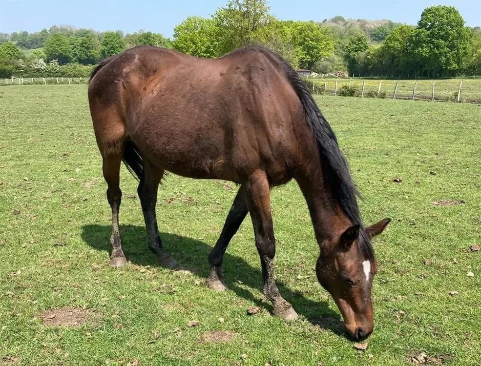 TORNADE DE MUN photo 2