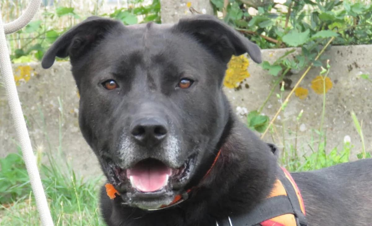 SHINRIN (réservé) photo 2