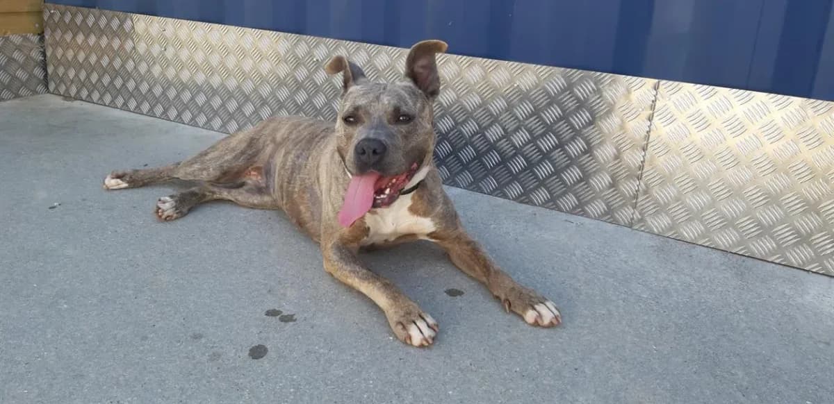 MADEMOISELLE photo 2