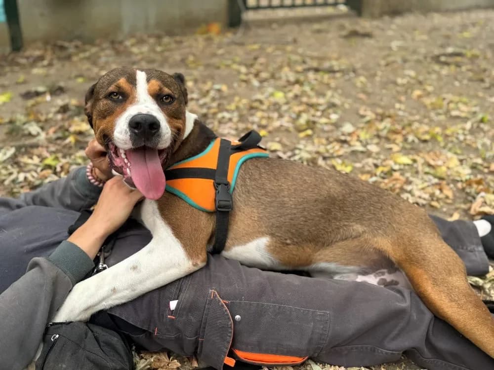 Eli OAA19852 photo 2