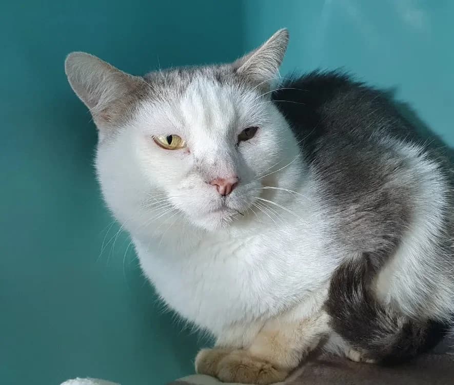 JEAN ERIC CHA photo 2