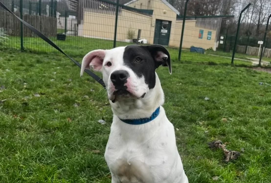 MARTA PAA24015 photo 2