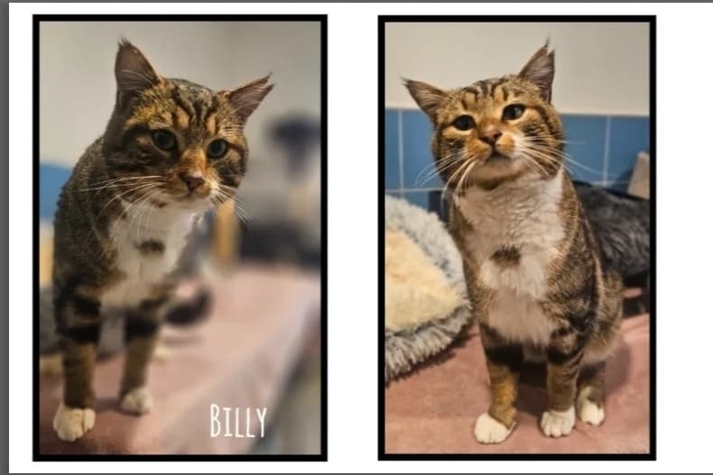 BILLY,  (SPA Thionville)