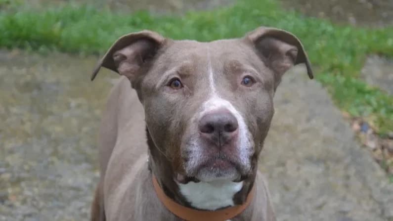 MANDELA CHAO12014 photo 2