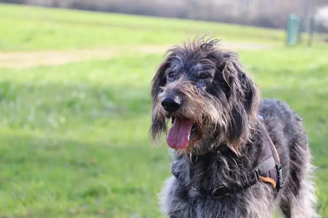 JAOLIE (réservée) photo 2