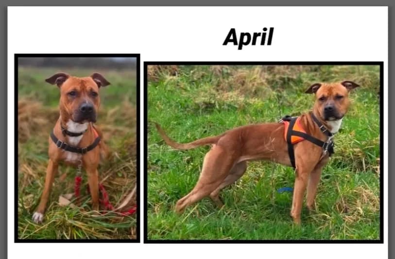 APRIL (Réservée) photo 2