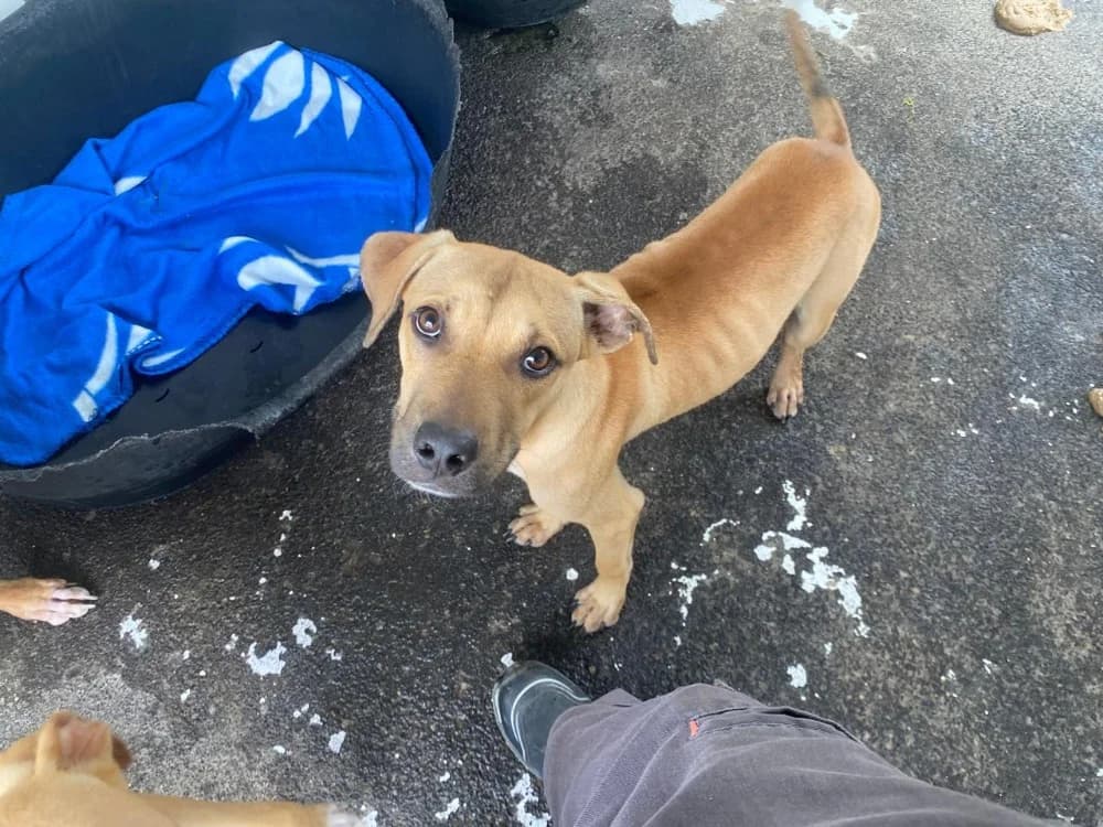 ZYON QCN (j'ai trouvé ma famille)