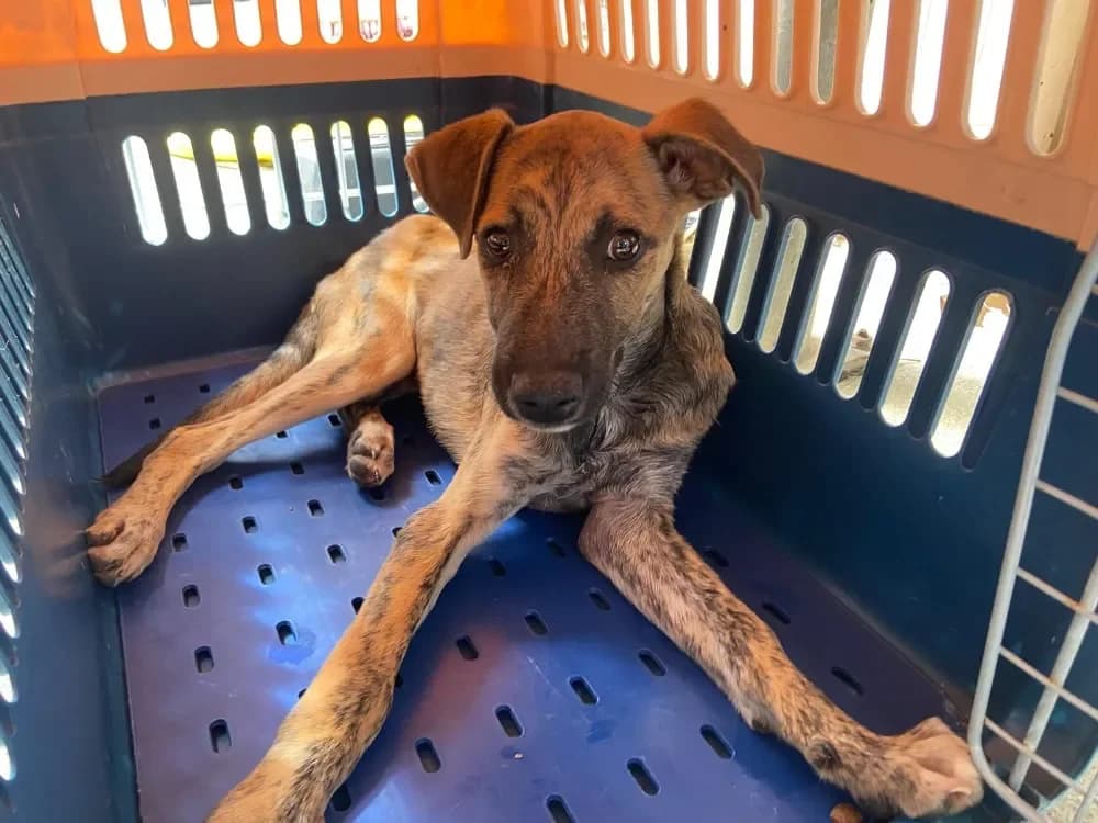 GUMY QCN (j'ai trouvé ma famille) photo 2