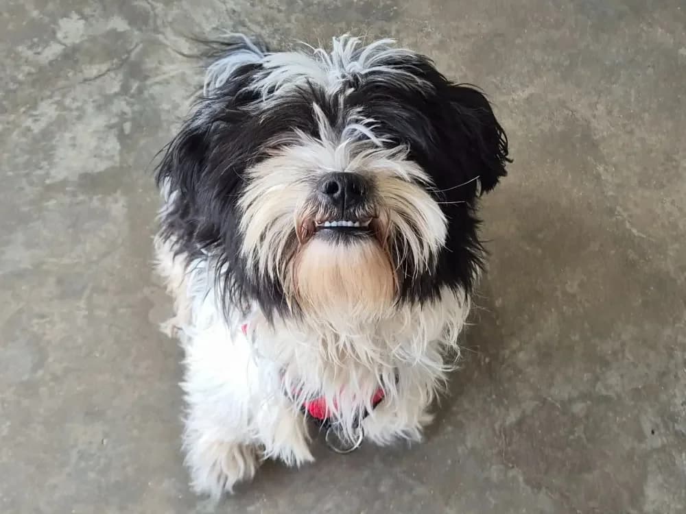 EXPRESSO QCN photo 2