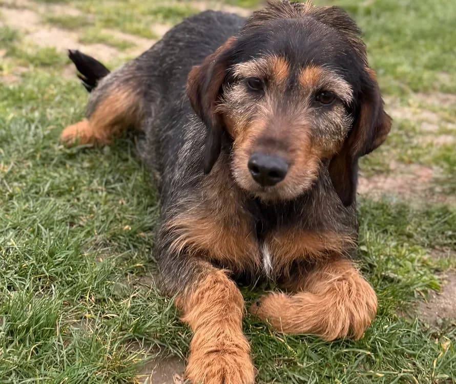 Tempête CAA15008 photo 2