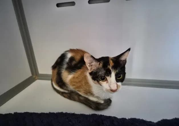 KIRIA (réservée) photo 2