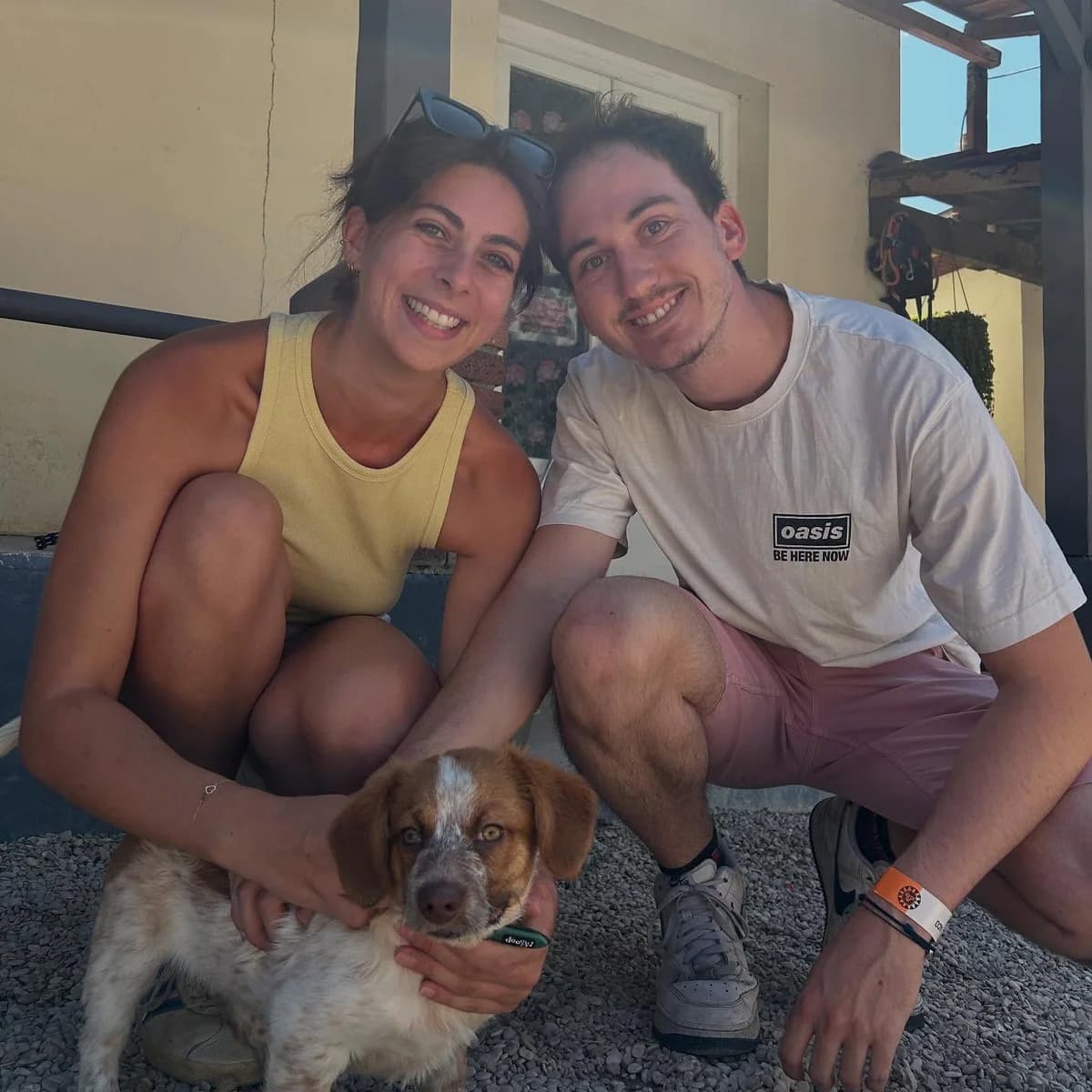 Nouvelles, Mixed Breed (Fondation Assistance aux Animaux)