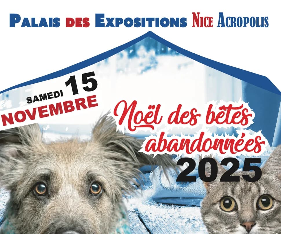 Vidéo, Mixed Breed for adoption at Fondation Assistance aux Animaux, Paris