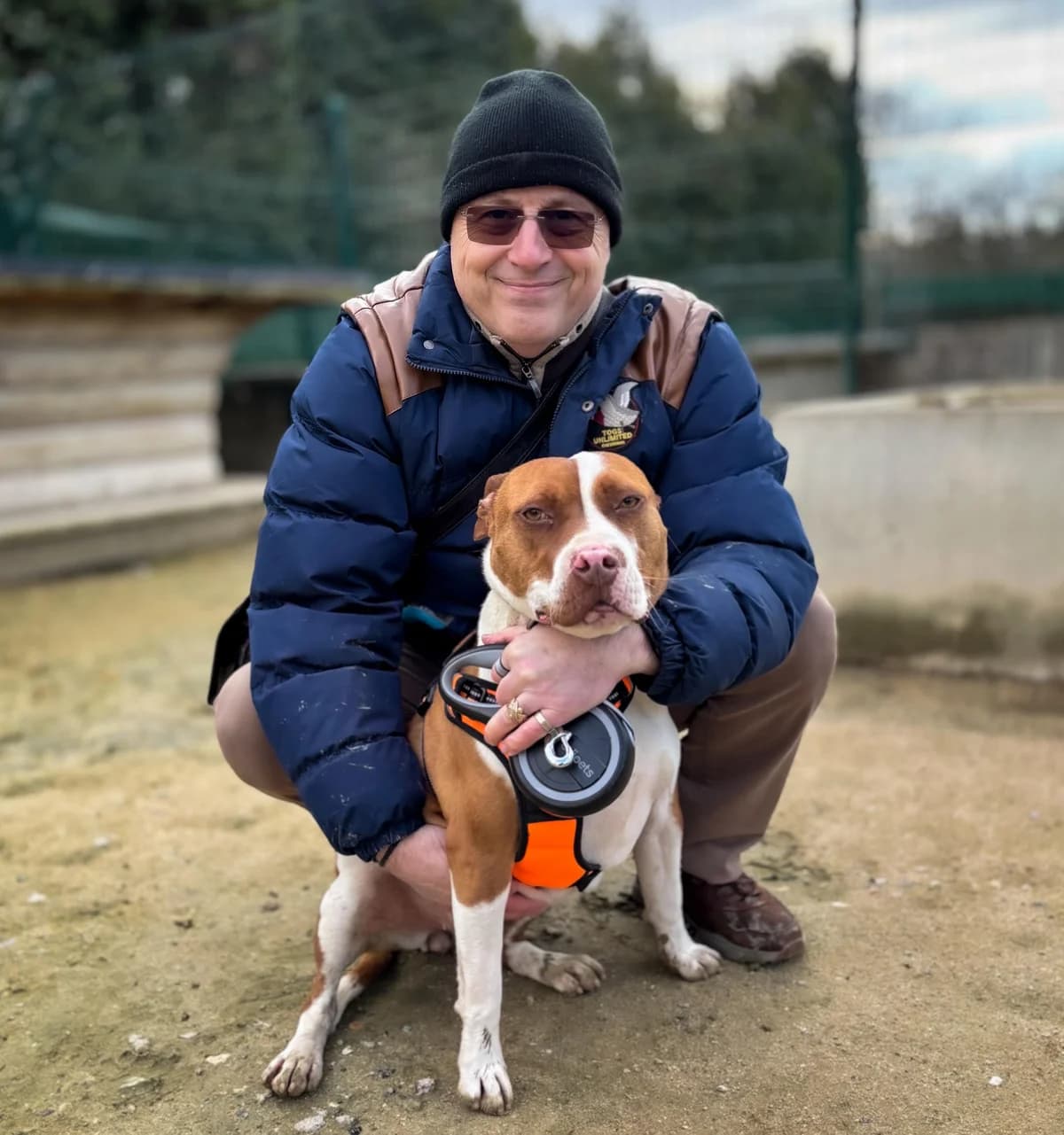 Peach, male Mixed Breed for adoption at Fondation Assistance aux Animaux, Paris