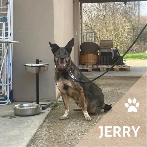 Adopter un de nos pensionnaires