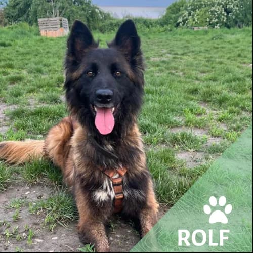 Adopter un de nos pensionnaires photo 3