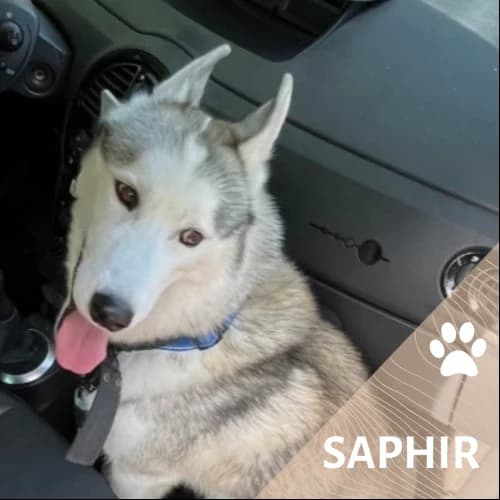 Adopter un de nos pensionnaires