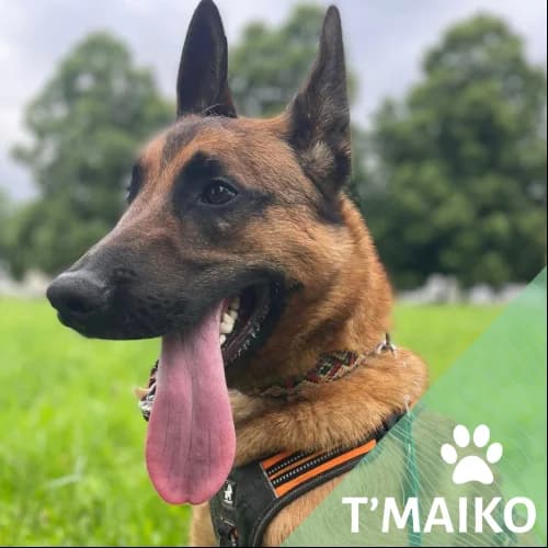 Adopter un de nos pensionnaires photo 2