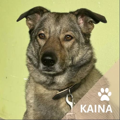 Adopter un de nos pensionnaires photo 2