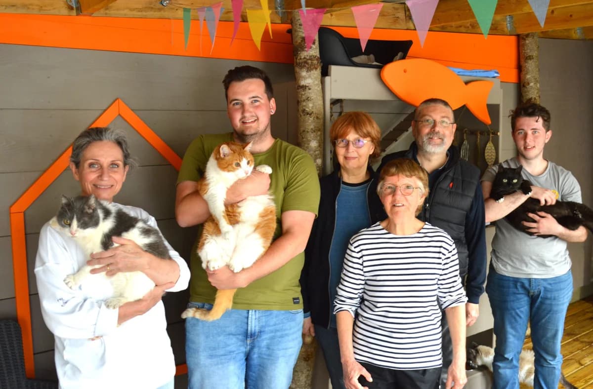 Gros Weekend pour les bénévoles de l&rsquo;association, male Mixed Breed for adoption at AdopteUnChat.org, Châteauneuf-du-Faou