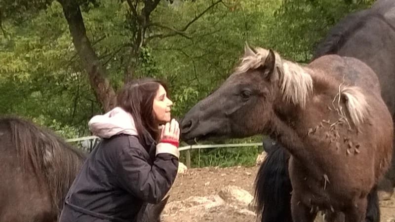 Dakota, male 4yo Mixed Breed for adoption at Association Tanka SOS Chevaux