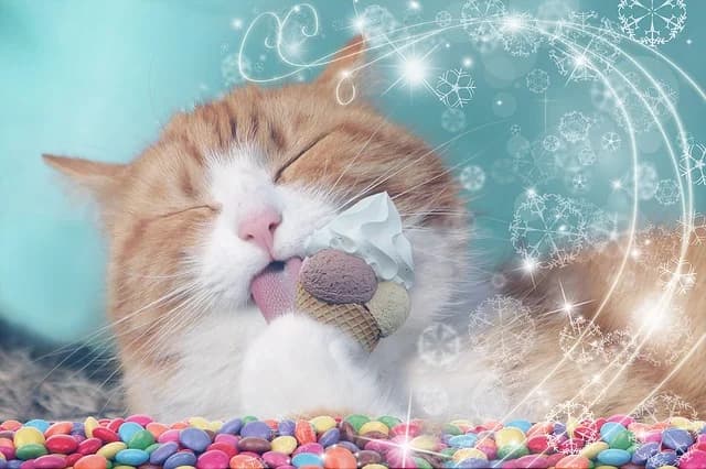 Quelques aliments dangereux pour le chat,  Mixed Breed for adoption at CaniMinet, Paris