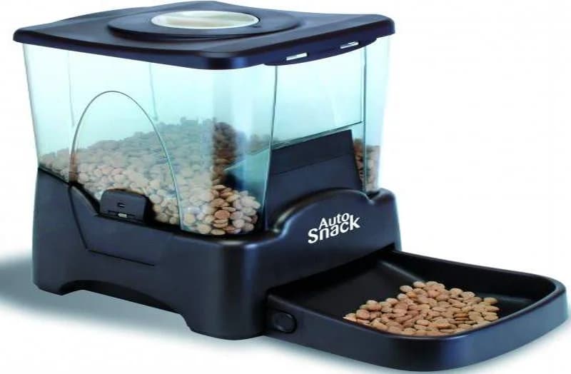 Un distributeur programmable pour votre chien,  Mixed Breed for adoption at CaniMinet