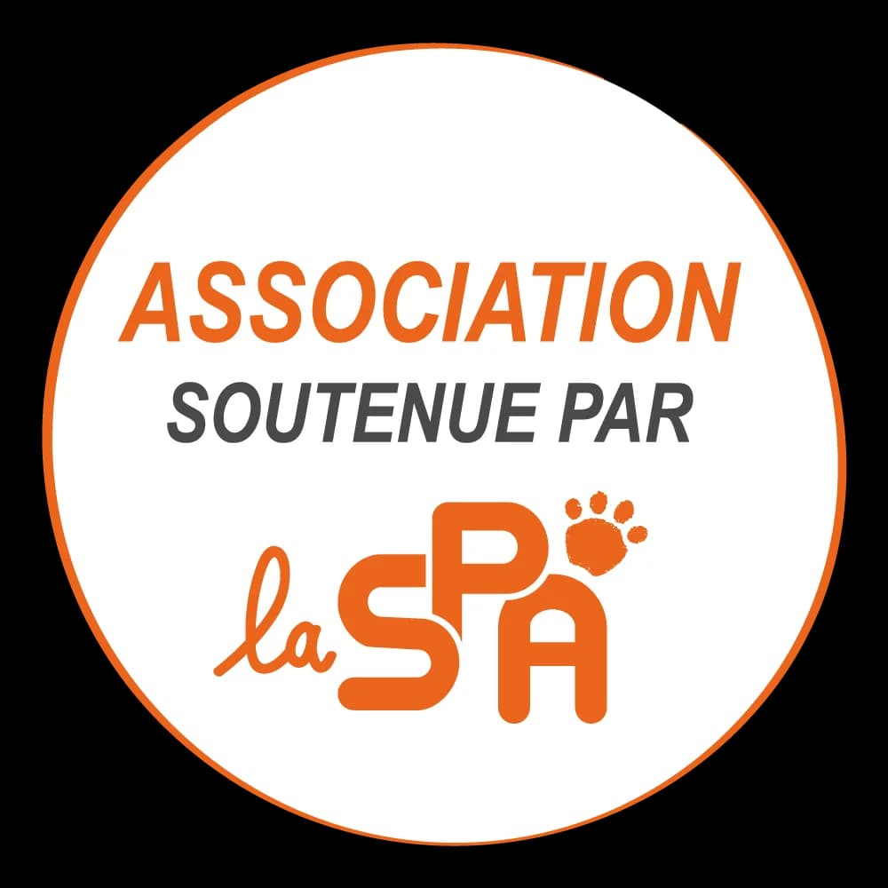 Acrobate, female young Mixed Breed for adoption at CAT, chabris