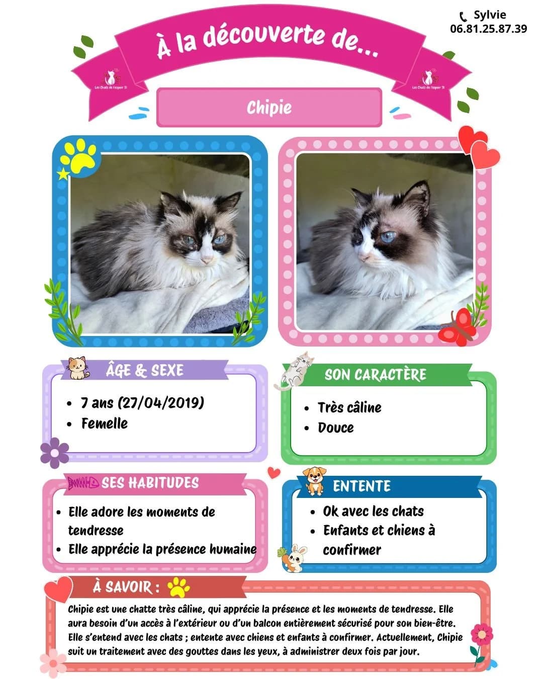 Caramel,  Mixed Breed for adoption at Les Chats de l
