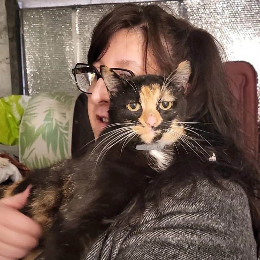 Saeka, female 5yo Mixed Breed for adoption at Les Minous Oubliés, les minous oublies